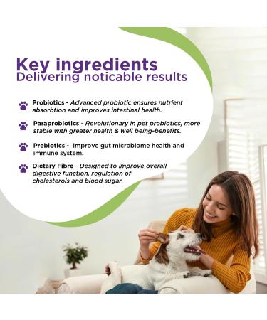 RenaSan Dog Probiotic Digestion & Fibre (108g) - Supports Bowel Function, Immunity & Overall Health - Easy-to-Administer Powder by Senior Vets - Buy Online on GoSupps.com
