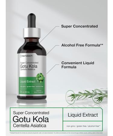 Horb ach Gotu Kola Extract | 2 fl oz | Alcohol Free | Super Concentrated Liquid Herb Supplement | Vegetarian Non-GMO Gluten Free - Buy Online on GoSupps.com