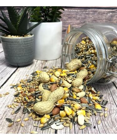 Squirrel Mixture 500g - Premium Wild Life Food Seed Feed for Garden - SMW - Buy Online on GoSupps.com