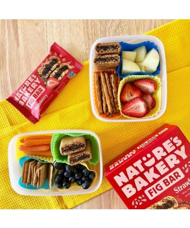Nature's Bakery Whole Wheat Fig Bars - Strawberry Flavor, 12 Twin Packs | Real Fruit Snack - Buy Online on GoSupps.com