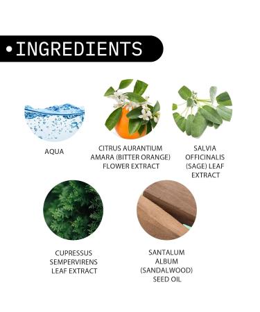 Men's Eau De Parfum Eau de Toilette Perfume Spray Refreshing And Long Lasting Fragrance for Couples and Date Nights Couple's Atmosphere Perfume Lasting Wear Birthday Gifts for Men 0.16 Ounce (Pack of 1) Black - Buy Online on GoSupps.com