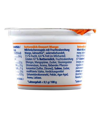 Frischli Buttermilk Dessert Mango - Pack of 20 (20 x 85g) | Premium International Shipping - Buy Online on GoSupps.com