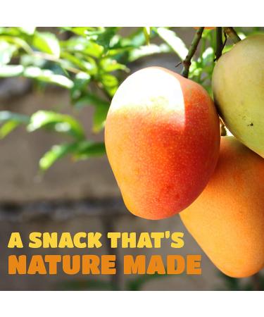 Dried Mango Slices - Soft, Juicy, Low Sugar, Gluten-Free, Natural Source of Vitamin C & Fiber (8 oz. x 6 Pack) - Buy Online on GoSupps.com