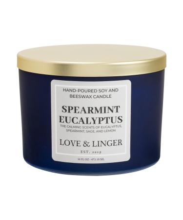 Aromatherapy Candle | Eucalyptus Candle | Luxury Soy & Beeswax Candles for Home | 16 oz. Large Jar 3 Wick Candle | Stress Relief Candles | Bath Candles | Relax Candle