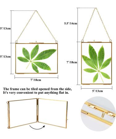 TLBTEK 2 pcs Hanging Photo Frames - 5x7 inch Double Glass Frames for Pressed Flowers - Vintage DIY Artwork Display - Wall Mounted Photos Frame - Horizontal and Vertical Display - Clear Glass - Buy Online on GoSupps.com