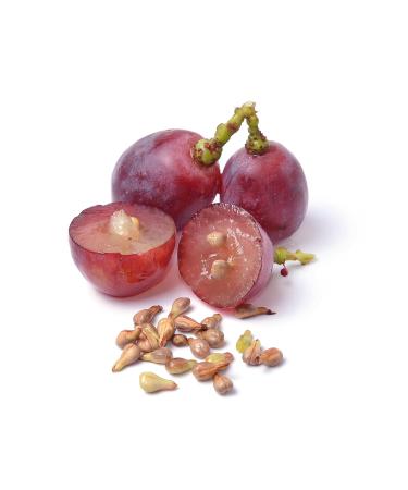 Nesos Extra Virgin Olive Oil Soap with Grape Seeds - Natural Skin Care Hydrating & Nourishing Handmade Luxury Soap for All Skin Types - Buy Online on GoSupps.com