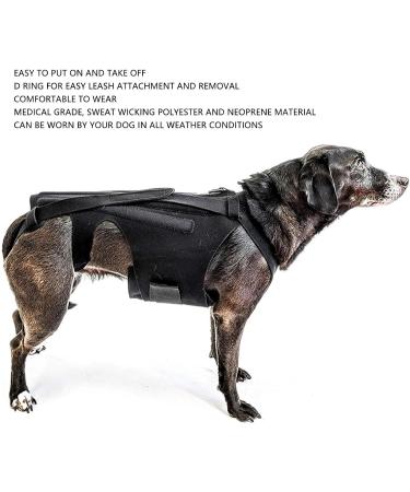 Back Bracer for IVDD in Dogs Dog Back Brace for Dogs Arthritis Spinal Surgical Recovery Herniated Disc Slipped Disc Rehabilitation Adjustable Back Support Back Protector (L) - Buy Online on GoSupps.com