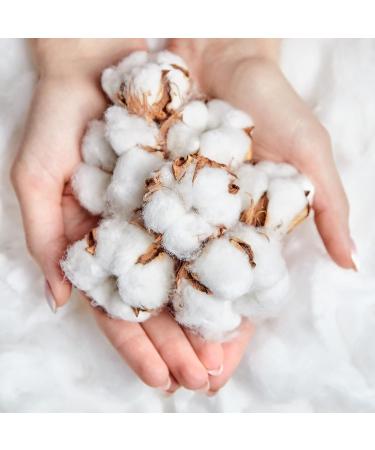 100x Cotton Strips for Sugaring | 20x7 cm Kosmetex Fleece Strips | White Cotton Textile for Sugar Paste - International Shipping - Buy Online on GoSupps.com