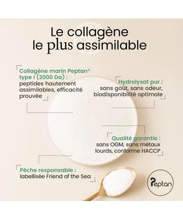 COLLAG NE MARIN Brevet Peptan en Poudre | 250g de Peptides de Collag ne Purs | Riche en Tripeptides | Articulations Souples Peau Lisse et Hydrat e | Go t Neutre | 100% Fran ais | Terravita - Buy Online on GoSupps.com