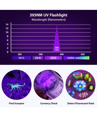 MOWETOO UV Torch LED Torch 2 in 1 Black Light with 4 Modes Waterproof 395nm UV Light Super Bright 500lm for Inspection Pet Urine Detecting Camping Including Accessories 3 AAA Batteries LE-8613d 1 Pack - Buy Online on GoSupps.com