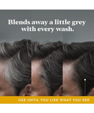 Control GX Multipack: 2-in-1 Shampoo & Conditioner for Grey Hair + Beard Wash | 4 oz. Bottles - Buy Online on GoSupps.com