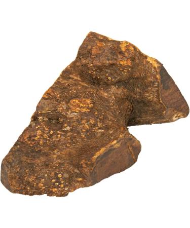 Wildfang Chewing Root for Dogs - Durable Dental Care Toy Splinter-Low Chewing Wood 3 Set for Optimal Health | International Shipping - Buy Online on GoSupps.com