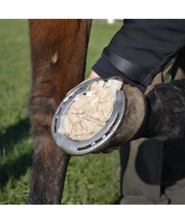 Signature Bigeloil Quilted Poultice Hoof Pad - 4 Pack - Clear Unisex 427944 - Buy Online on GoSupps.com