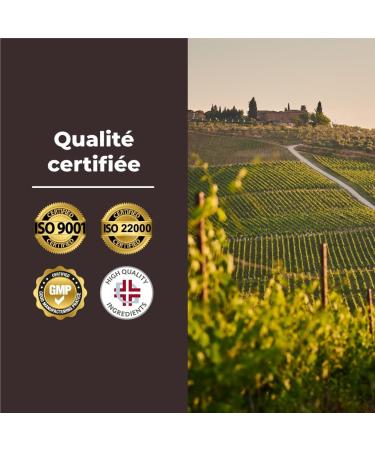 Bandini Vitamin B12 Vegan 1000 mcg 365 Tablets 12 Months Intake Vitamin B 12 Methylcobalamin Bioavailable High Dosed For Energy Immunity and Fatigue 100% Vegan No Additives - Buy Online on GoSupps.com