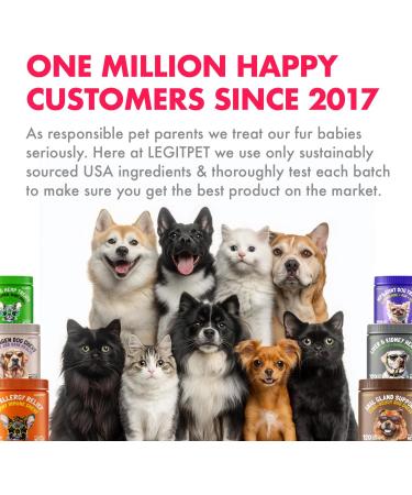 Liquid Iron Supplement for Cats & Dogs B12 + B-Complex + Probiotics Liquid Iron Vitamin Drops for Anemia & Low Energy Promotes Red Blood Cell Health All Ages & Breeds Bacon Flavor 4 oz - Buy Online on GoSupps.com