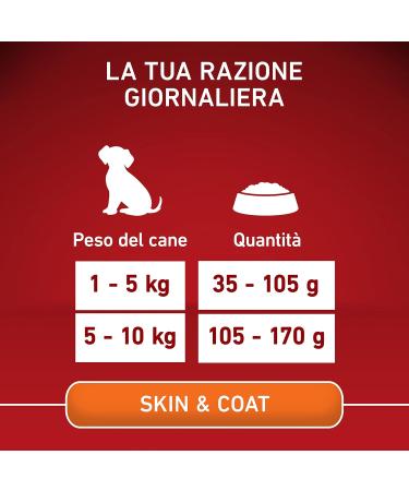 Purina One Mini 10 kg Leather and Hair Dry Food for Small Dogs Beef and Rice 6 Cans of 1.5 kg - Buy Online on GoSupps.com