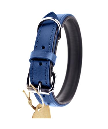 Sniffing fans collar for dogs made of leather dog collar for the large medium and small dog leather collar padded robust (m - 28-36cm blue) m - 28-36cm blue