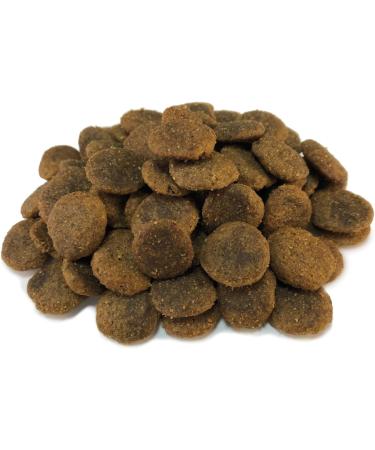ARQUIVET - GRAIN FREE - Croquettes for adult dogs - Salmon and tuna - 12 kg - Buy Online on GoSupps.com