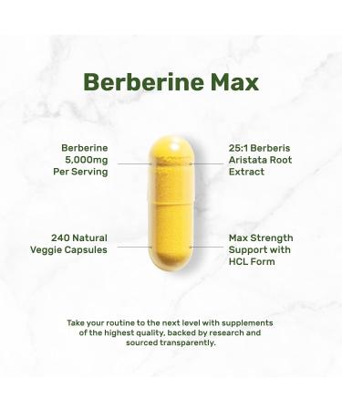 DEAL SUPPLEMENT Berberine Max Supplement with Turmeric 5 000mg Per Serving 240 Veggie Capsules 97% Pure Berberine HCl 20:1 Turmeric Root Extract Vegetarian Friendly Non-GMO - Buy Online on GoSupps.com