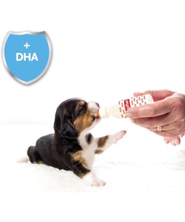 Beaphar Lactol Milk Supplement for Puppies Milk 250 g (Pack of 1) - Buy Online on GoSupps.com