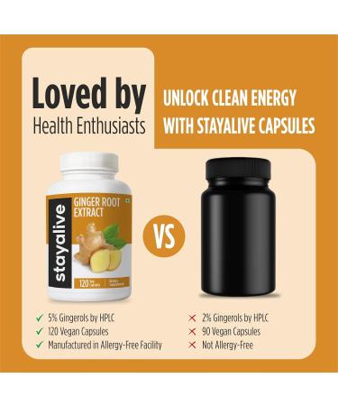 STAY ALIVE Pure Ginger Root Capsules 1000mg, 10:1 Extract Powder with 5% Gingerols, 120 Pills, Extra Strength Root Powder, Vegan, Non-GMO and Gluten-Free Ginger Supplement - Buy Online on GoSupps.com