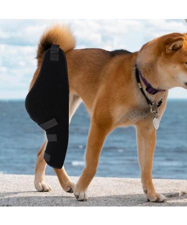 Dualoai Dog Knee Brace Adjustable Belt Durable Supportive Breathable Wrist Guard Ankle Brace for Dog Supplies Right Rear - Buy Online on GoSupps.com