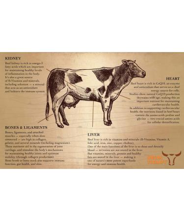 SaltWrap Organ Therapy - Grass Fed Beef Organ Meat Complex with Bone Broth Concentrate - 90 Capsules - Buy Online on GoSupps.com