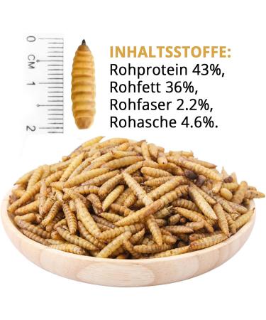 Buy EWL Natural Dried Soldier Fly Larvae - 1.2 kg | Premium Bird Fish Turtle & Hedgehog Feed | 7.8 Liters - Buy Online on GoSupps.com