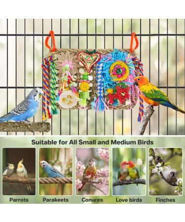 Colorful Pethee Budgie and Parrot Toys - Chewing Shredding & Climbing Wall Toys for Bird Cages | International Shipping - Buy Online on GoSupps.com