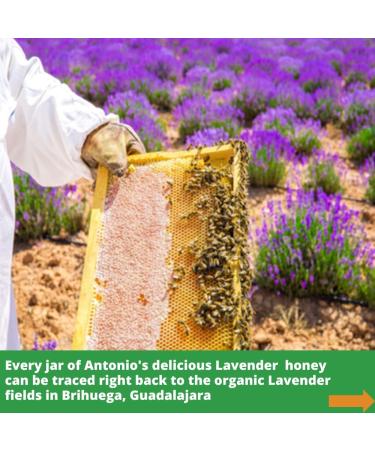 Antonio's 500g Raw Certified Organic Lavender Honey - Pure Natural Honey/The Raw Honey Shop - Buy Online on GoSupps.com