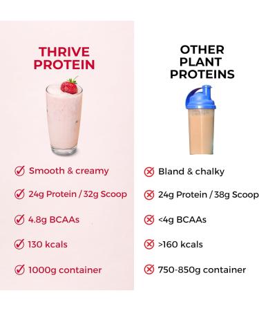Plant-Based Protein | Vegan Protein Powder Strawberries & Cream | Thrive Protein | 1kg (30 servings) Strawberries & Cream 1 kg (Pack of 1) - Buy Online on GoSupps.com