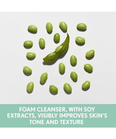 Aveeno Clear Complexion Foaming Cleanser | Oil-Free Facial Wash with Salicylic Acid for Breakout-Prone Skin | 6 fl. oz | Hypoallergenic & Non-Comedogenic - Buy Online on GoSupps.com