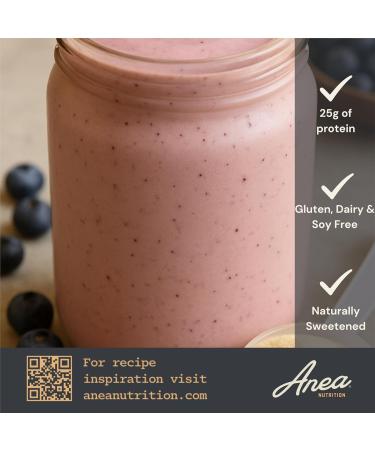 Anea Egg White Protein - Vanilla | 25g Protein | Cholesterol-Free | 5.2g BCAA | Complete Amino Acid Profile | Dairy-Free Gluten-Free Soy-Free | Smooth Vanilla Flavor | Made in GMP Facility - Buy Online on GoSupps.com