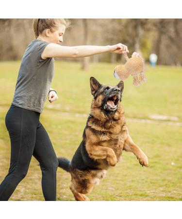 Nobleza Plush Dog Toys - Squeaky & Crinkly Sloth Toy for Puppies & Dogs | Perfect for Small Medium & Large Breeds - Buy Online on GoSupps.com