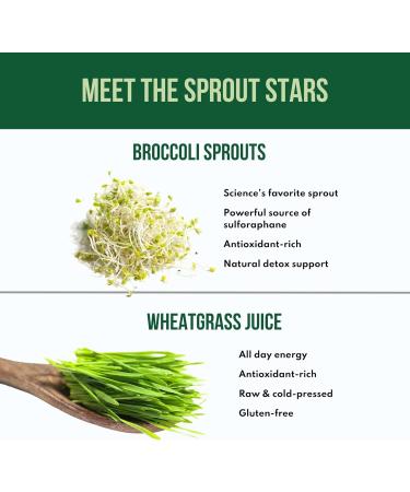 Blue Glow Sprout Powder - Skin-Loving Superfood Blend with Broccoli & Butterfly Pea for Lattes & Smoothies | Rich in Adaptogens & Antioxidants - Buy Online on GoSupps.com