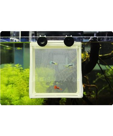 XMHF White Nylon Mesh Fish Fry Hatchery Breeder Box - Separation Net - Buy Online on GoSupps.com