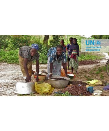 LaProve Shea butter from Africa 100 natural - Buy Online on GoSupps.com