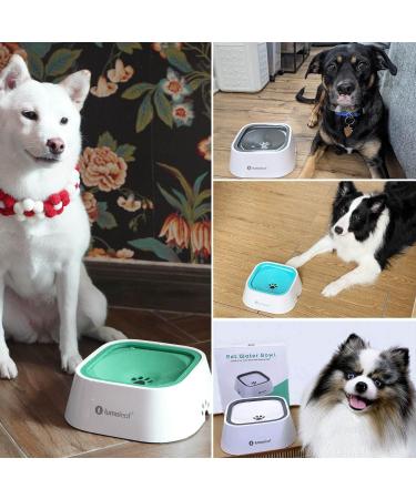 Lumoleaf 1L No-Drool Dog Water Bowl | Leak-Proof Anti-Schwapp Travel-Friendly Cat & Dog Dispenser (Green) - Buy Online on GoSupps.com