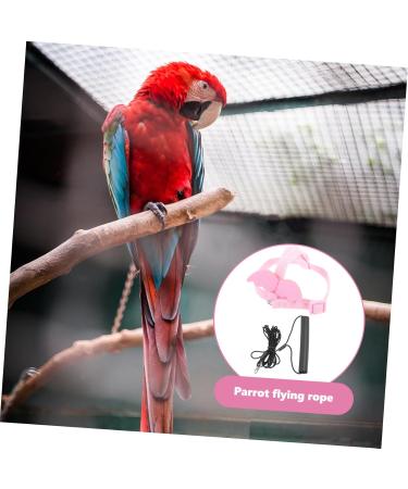 DOITOOL 3 Sets Bird Leash Suspend Parrot Harness and Leash Conure Birds Flying Harness Kit Gecko 12X6X1.3CMx3pcs Pinkx3pcs - Buy Online on GoSupps.com
