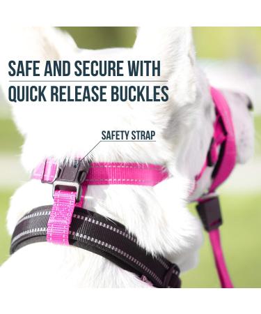 GoodBoy Halter for Dogs - Pink Nylon with Black Padding - 2 Piece Set | International Shipping Available - Buy Online on GoSupps.com
