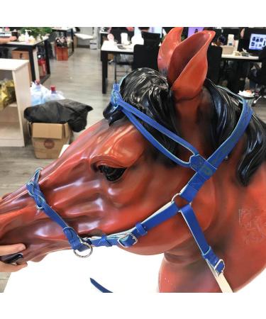 Halter Horse | Heavy Duty Adjustable Tied Halter with Chin & Throat Snap | Comfortable Padded Nylon Horse Halter for Training Equestrian Grooming Blue - Buy Online on GoSupps.com