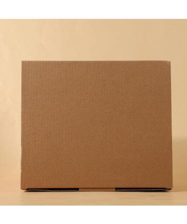 COSCELIA UV Nail Polish Gel Set 10PC Geln gel Starter Kit with 36W UV+LED Lamp Nail Cutter & DIY Nail Art Perfect for At-Home Gel Nails - Buy Online on GoSupps.com