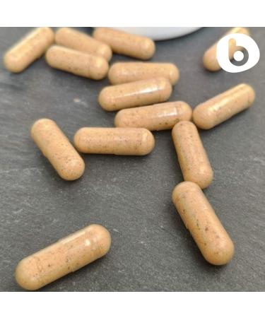 Organic RoseHips & Acerola Capsules - Plant Based Vitamin C 1000mg from Acerola Cherry Powder Organic & Rosehip Powder - Without Ascorbic Acid - Supports Immune Health - GMO free - 90 Vegan Capsules - Buy Online on GoSupps.com