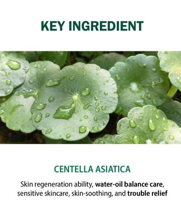 Skin Balancing Centella Cica Serum - Soothing 2.02 Fl oz | Hydrate & Restore Skin | International Shipping - Buy Online on GoSupps.com
