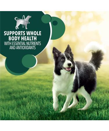 IAMS Advanced Health Dog Food Dry Healthy Digestion Adult Chicken & Whole Grain Recipe 2.72kg (6LB) Bag 2.72 kg (Pack of 1) Dog Food - Buy Online on GoSupps.com