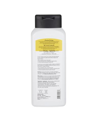 J.R. Watkins Daily Moisturizing Body Wash Lemon Cream 18oz - Pack of 6 | 108oz Total - Buy Online on GoSupps.com