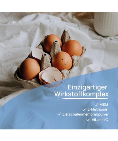 Wellpursan Arthronem Plus - 180 Articular Capsules for Osteoarthritis Relief | Joint Complex with MSM & Vitamin C | Ultimate Nutritional Supplement for Joint & Cartilage Health - Buy Online on GoSupps.com