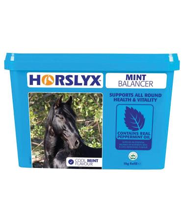 Horslyx Mint Balancer Horse Supplement Lick 5 kg Mint Balancer Horse Supplement Lick 5 kg - Buy Online on GoSupps.com