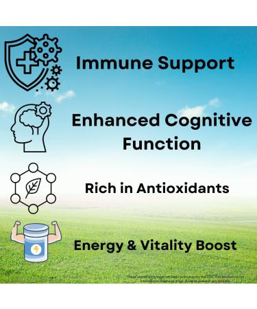 Sacred Tree Naturals Organic Mushroom Immune Support Capsules 9 Mushroom Blend for Immune Health & Wellness with Reishi Lion's Mane Cordyceps & More - 100% Pure Non-GMO Vegan - Buy Online on GoSupps.com