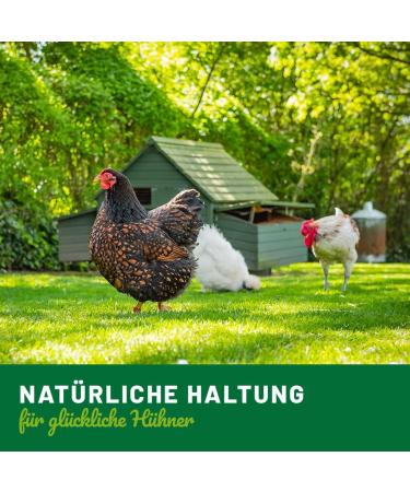 H HNER Land Liquid Wormer 110 ml for chickens and poultry - Natural recipe - Secondary wormer - Without anthelmintic - Buy Online on GoSupps.com